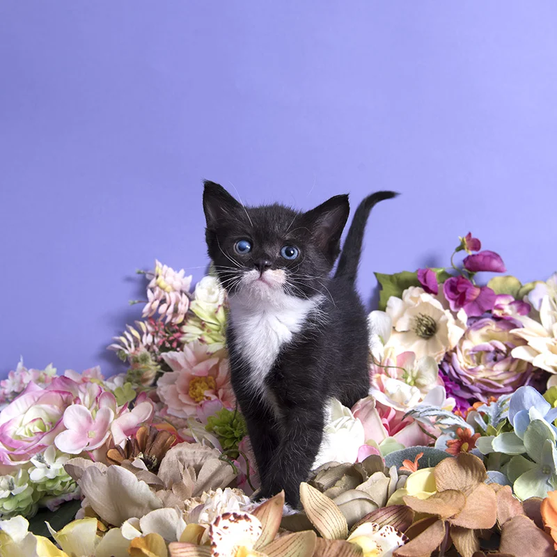 Max_DSC_6790.jpg