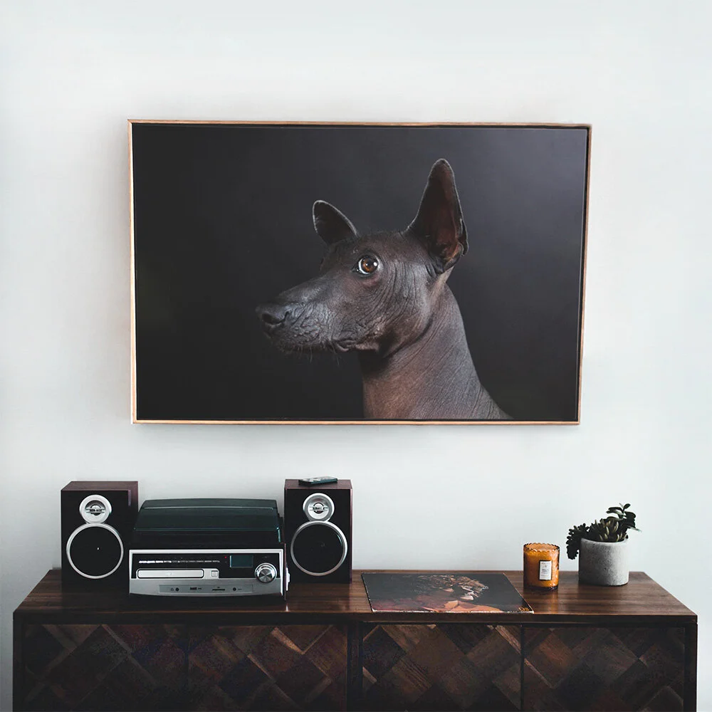 photo by cerlov2.jpg