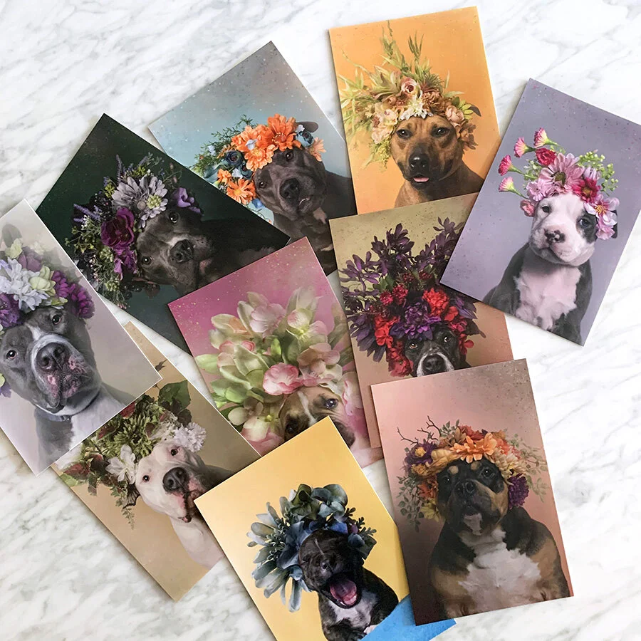postcards-pack1_01L.jpg