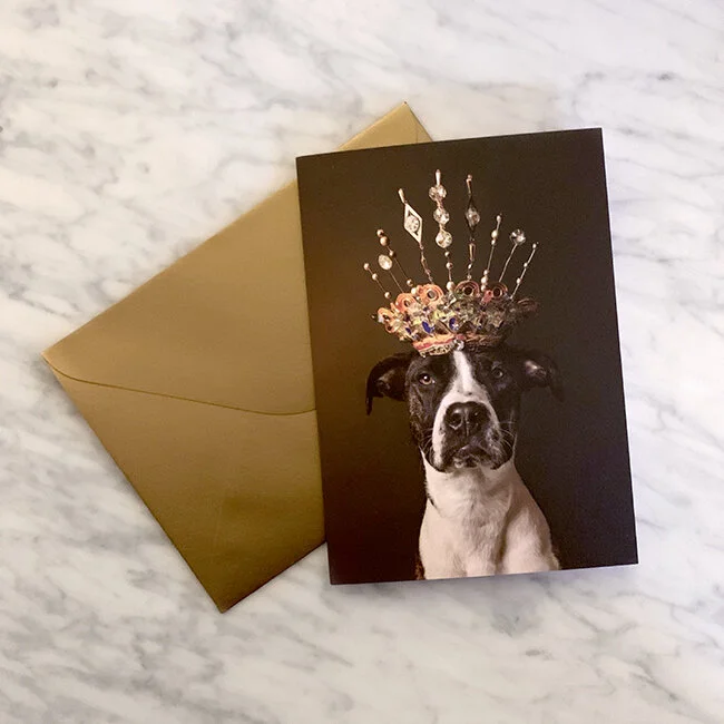 Pit Bull queen L.jpg