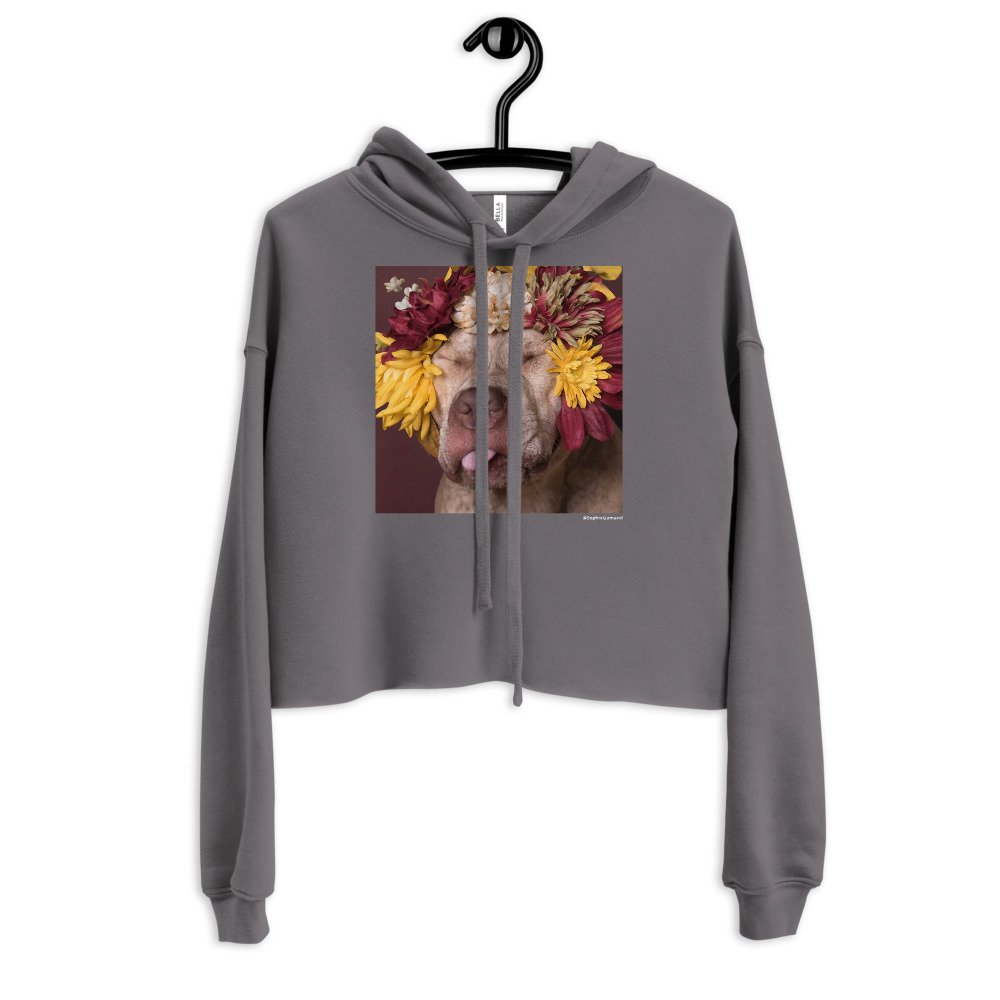 womens-cropped-hoodie-storm-front-61a5361bce4e5.jpg