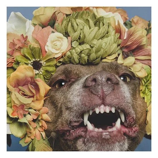 Small print, 8x8, I FEEL PRETTY