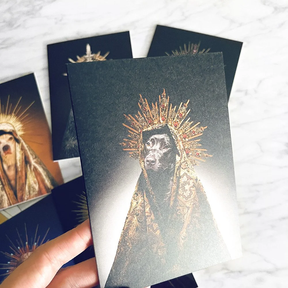 BLACK DOG greeting card (single)
