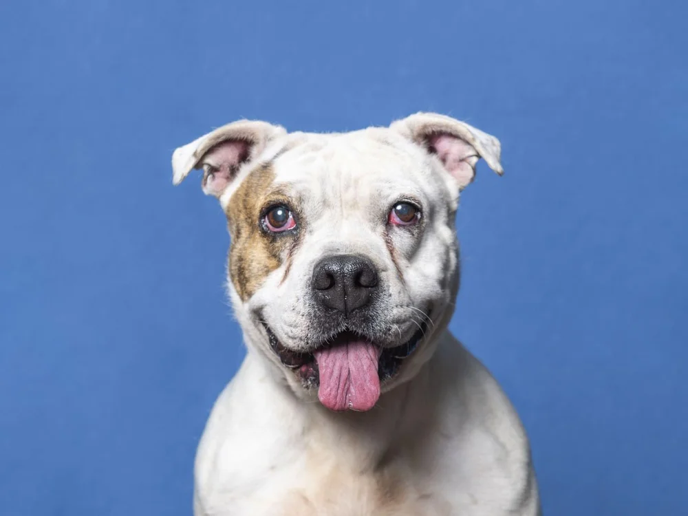 A2159179_AMANDA 03_DSC_7244.jpg