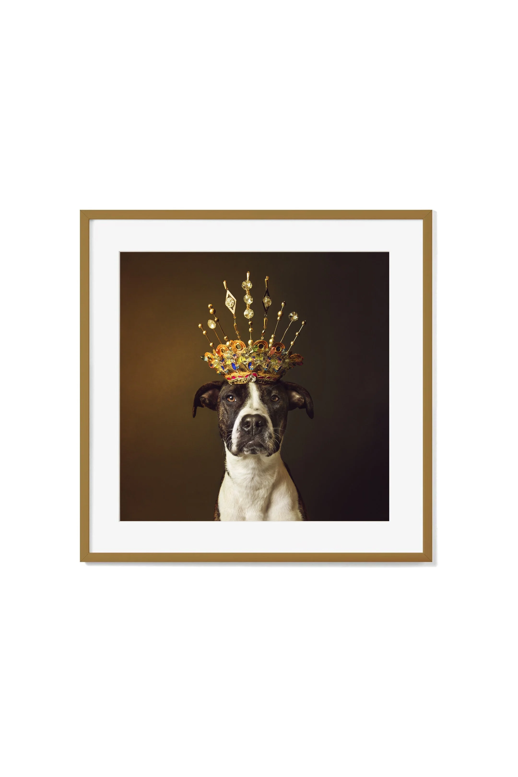 12x12 for 10x10prints_02.jpg