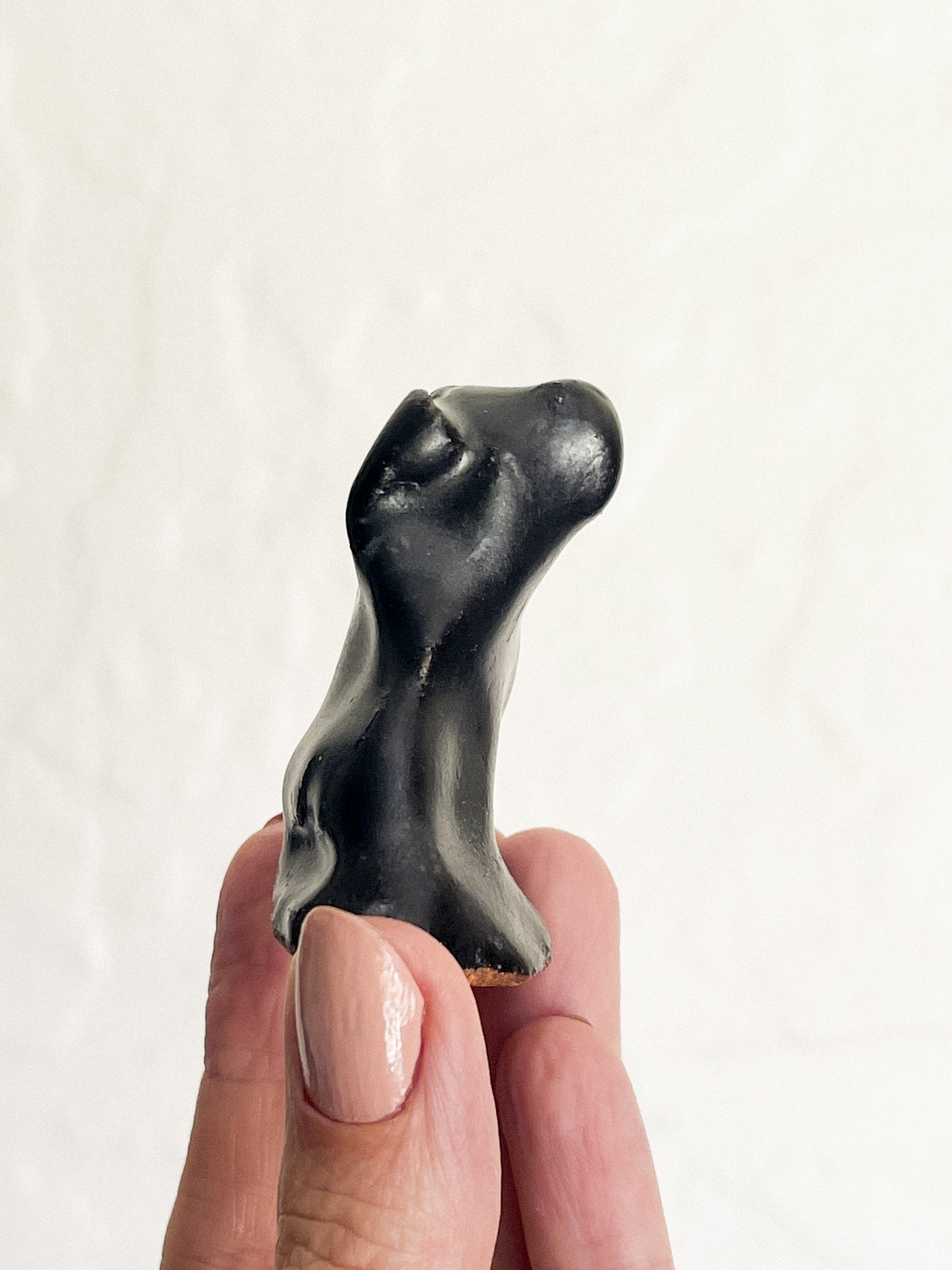 DogTalisman_LII_02L.jpg