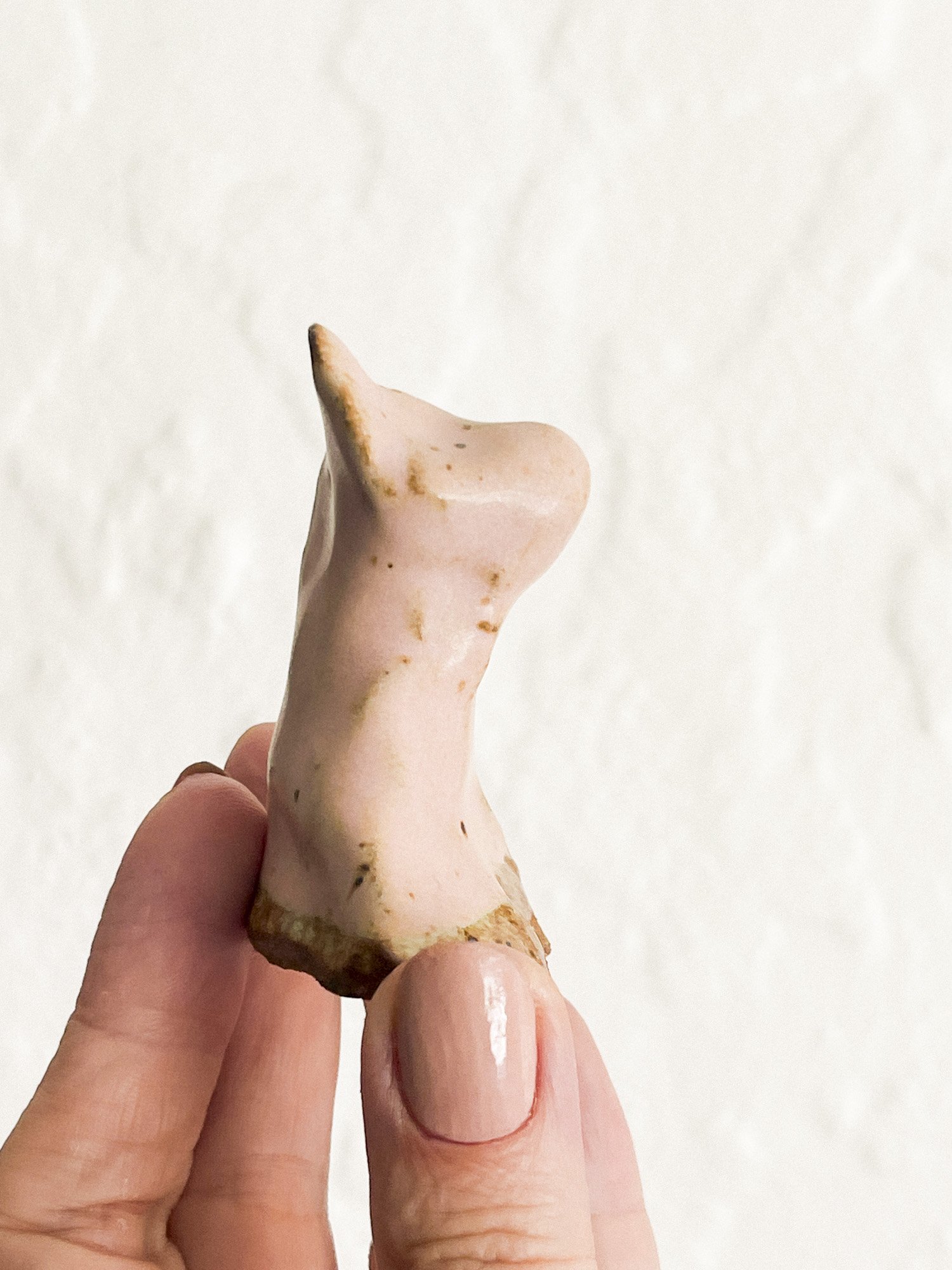 DogTalisman_LVIII_03L.jpg