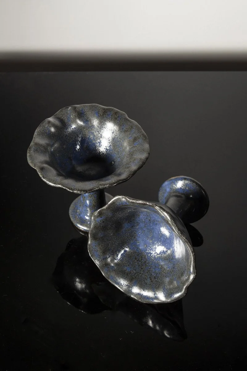 DSC_1209_L.jpg (Copy)