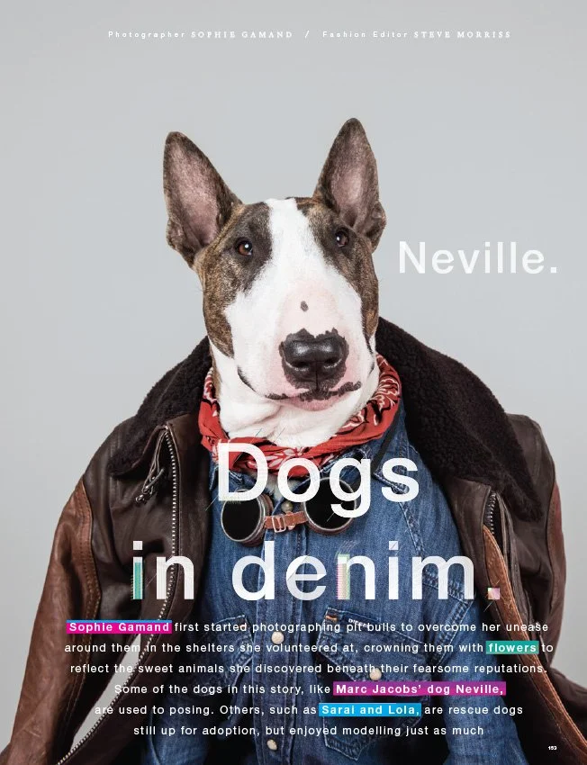 DOGS IN DENIM FOR LOVE MAGAZINE