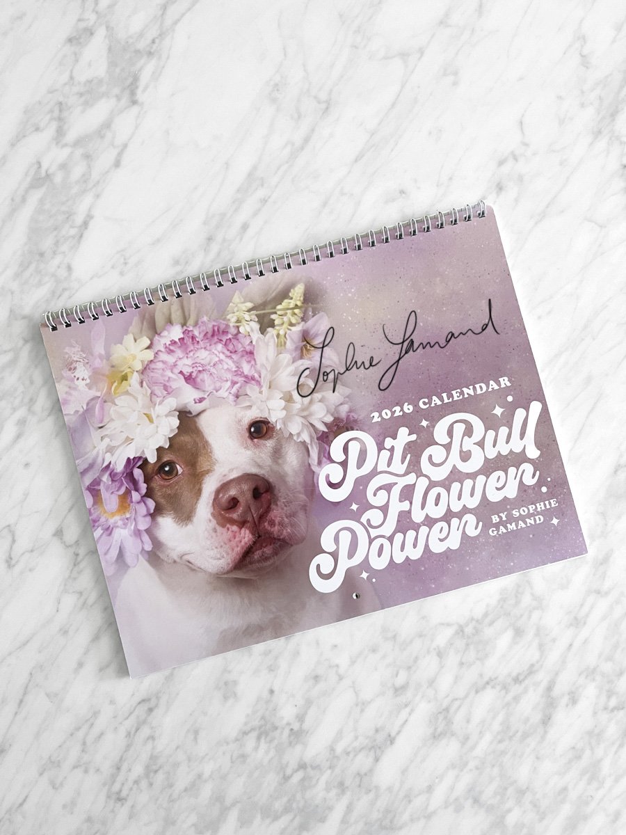 PREORDER 2026 Wall Calendar (SIGNED)