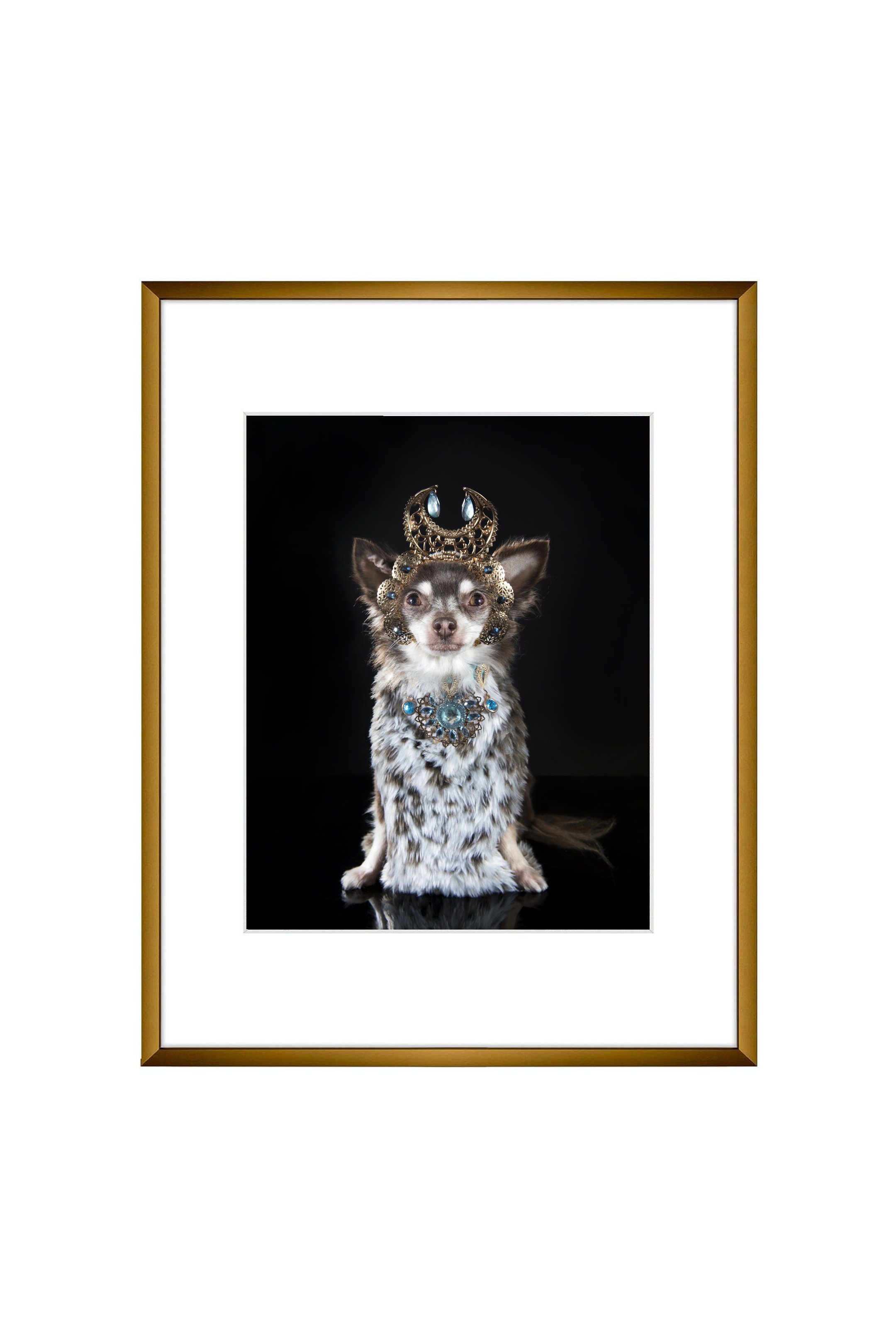 Photo print, 8x10, Moon Doggess