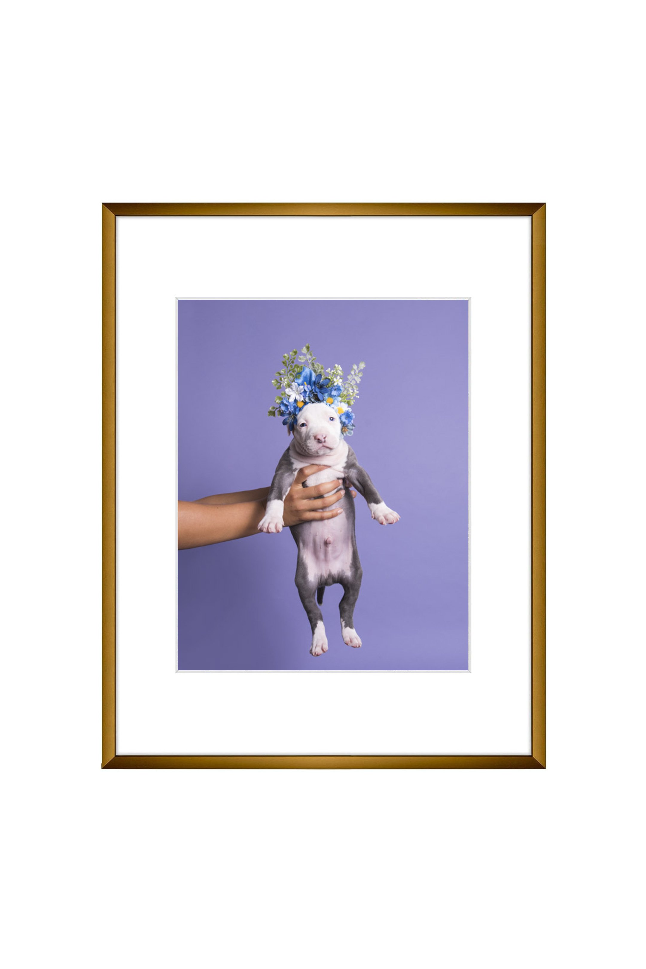 Print, Beaumont, 8x10