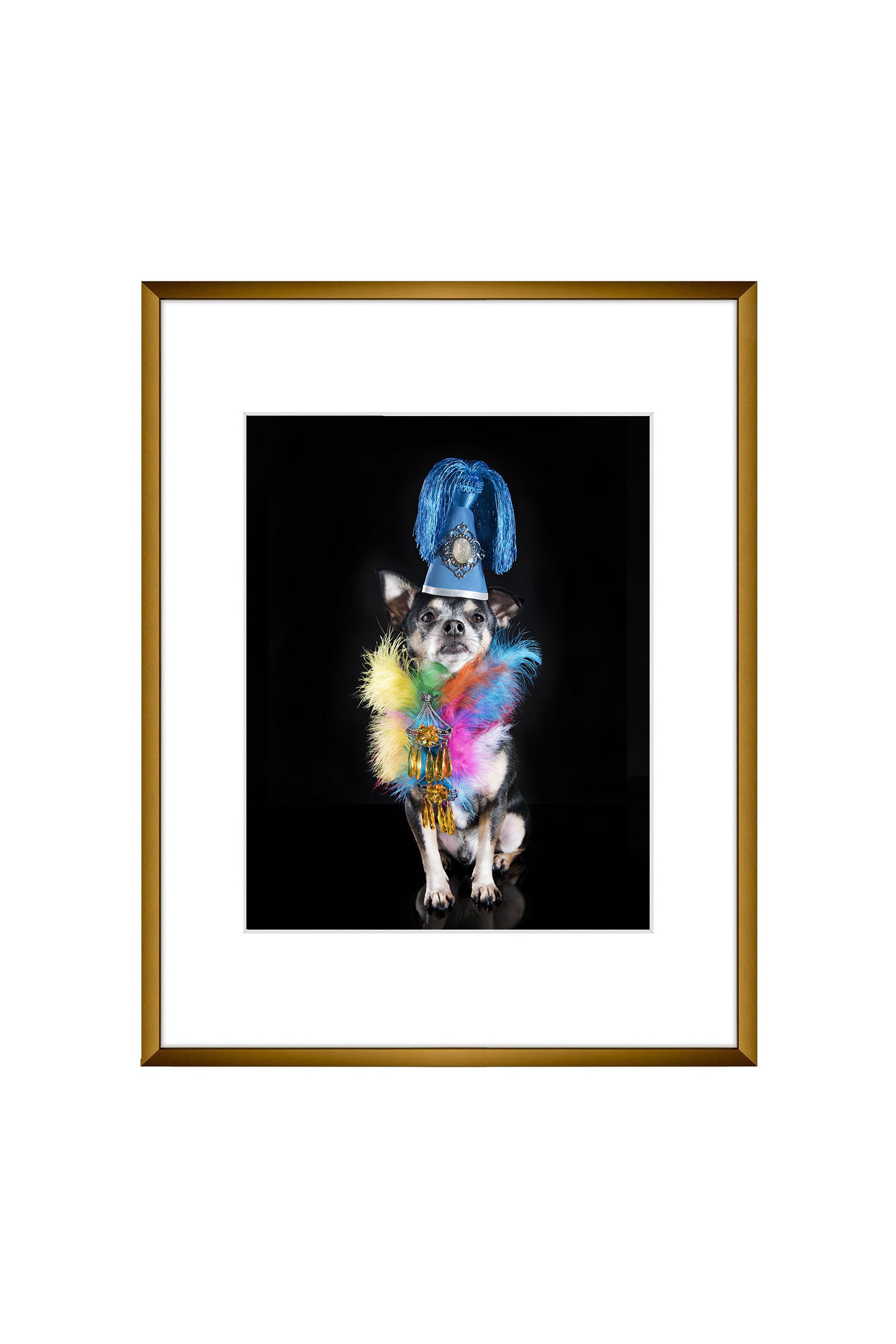 Photo print, Watchdog Snoopy