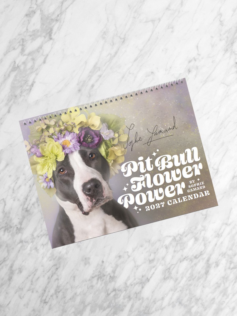 2027 Wall Calendar, signed (Preorder)