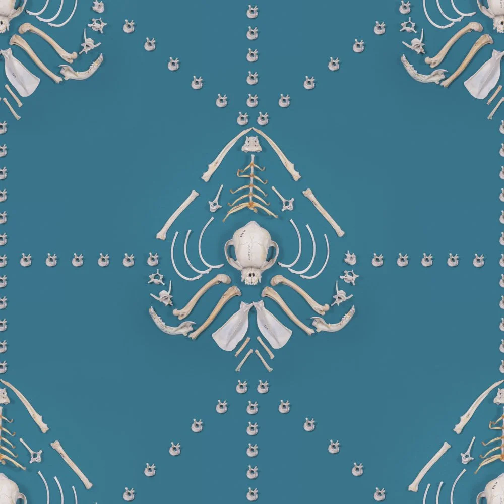 Pattern diagonal2 copy_L.jpg