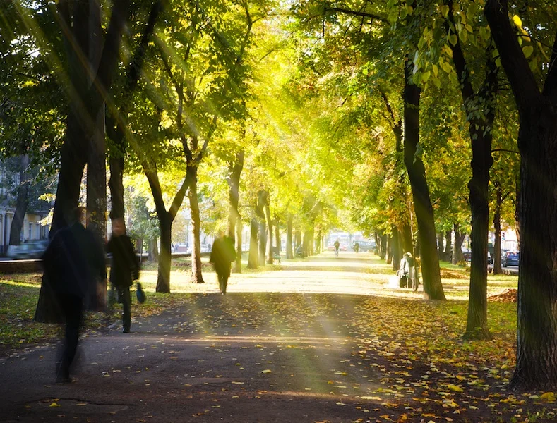 melbourne-city-park.jpg