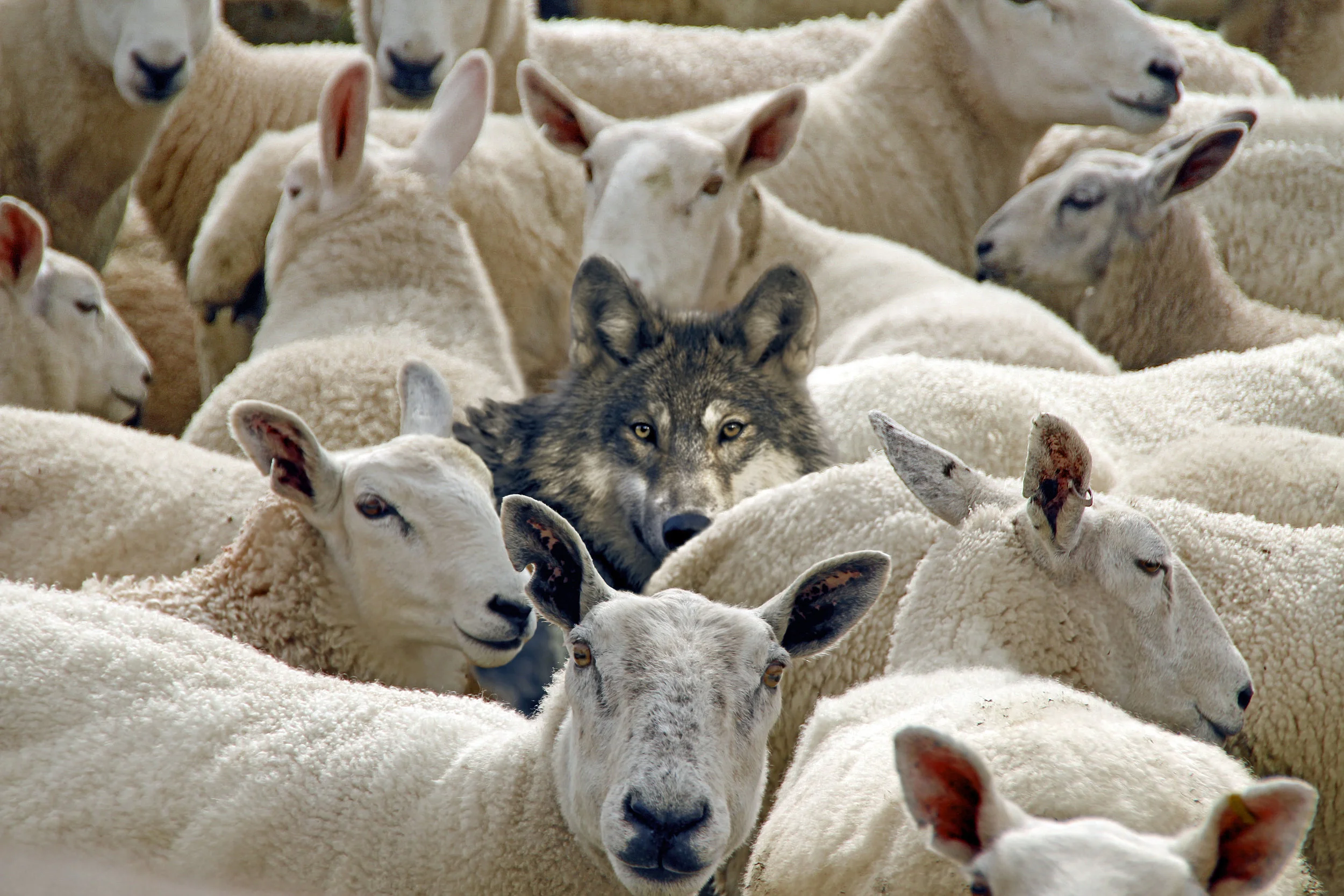 Why doesn't the Gospel Change Me?