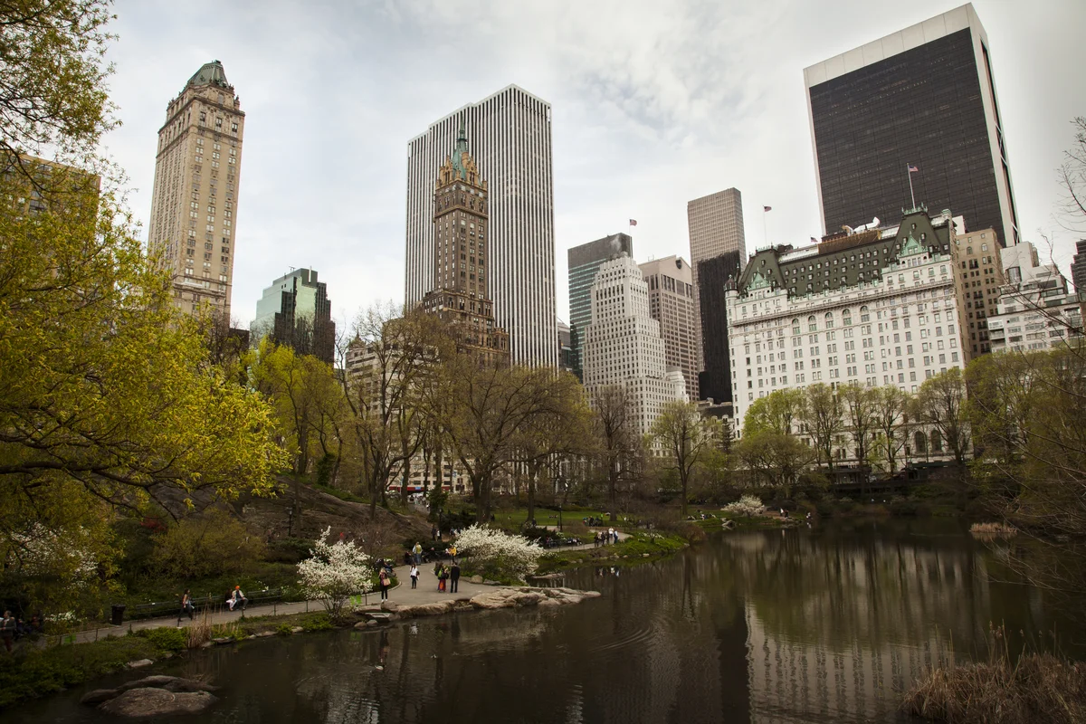 Mark Tibben recently attended our International Intensive training in New York