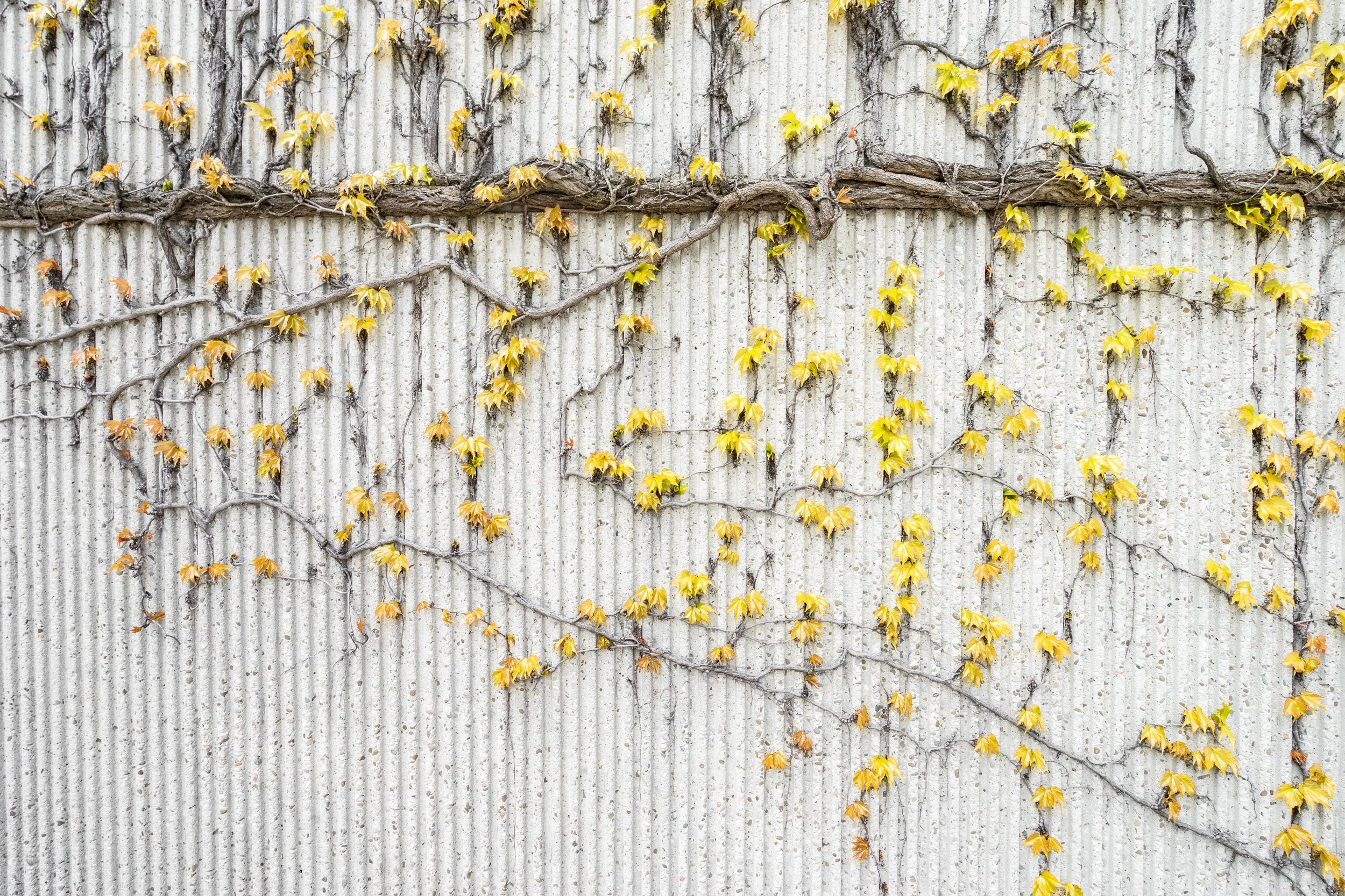 art-background-color-1029609.jpg