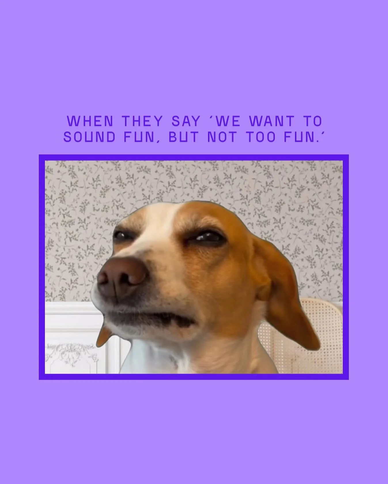 Nothing like walking the fine line between ✨quirky✨ and corporate beige.