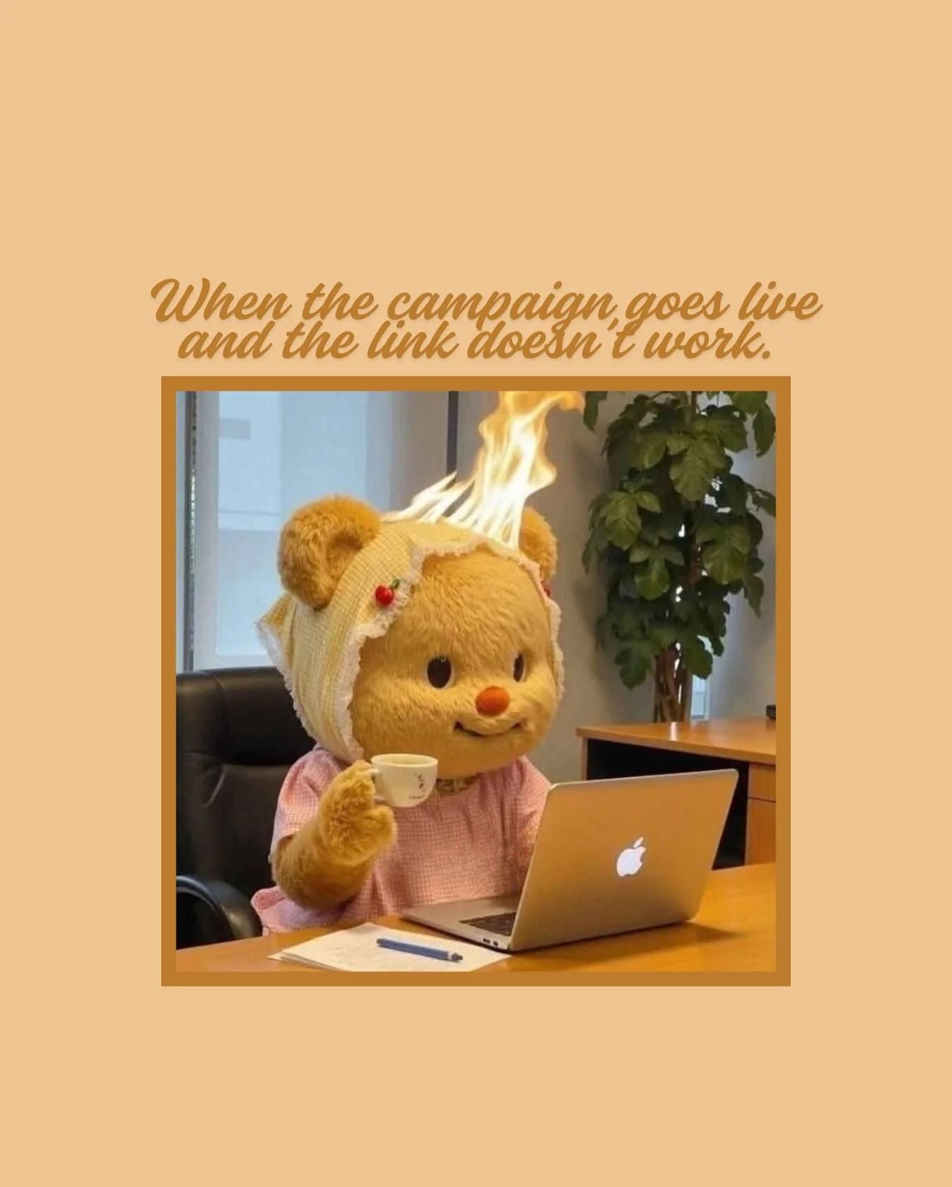 Campaign launch checklist: panic ✅