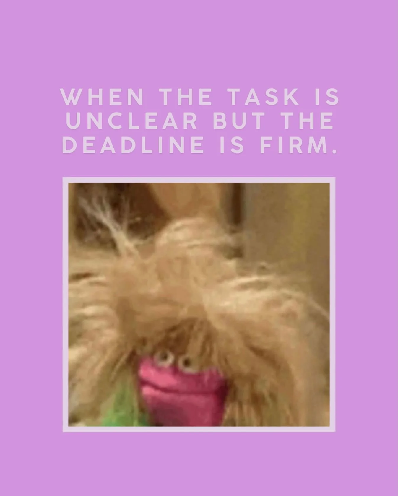 Delivering something.
Unsure if it&rsquo;s the thing.
Confident it&rsquo;s on time.