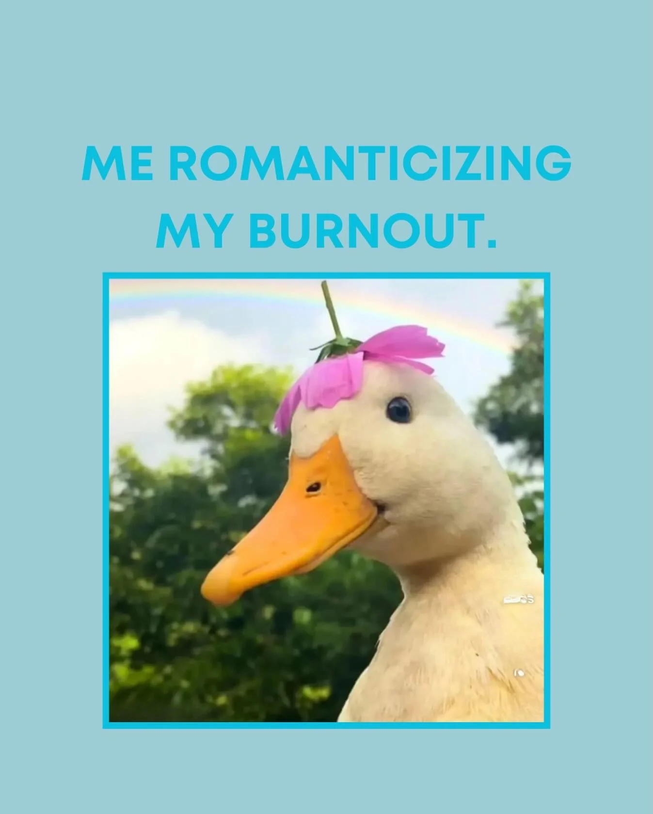 This is what resilience looks like, apparently.