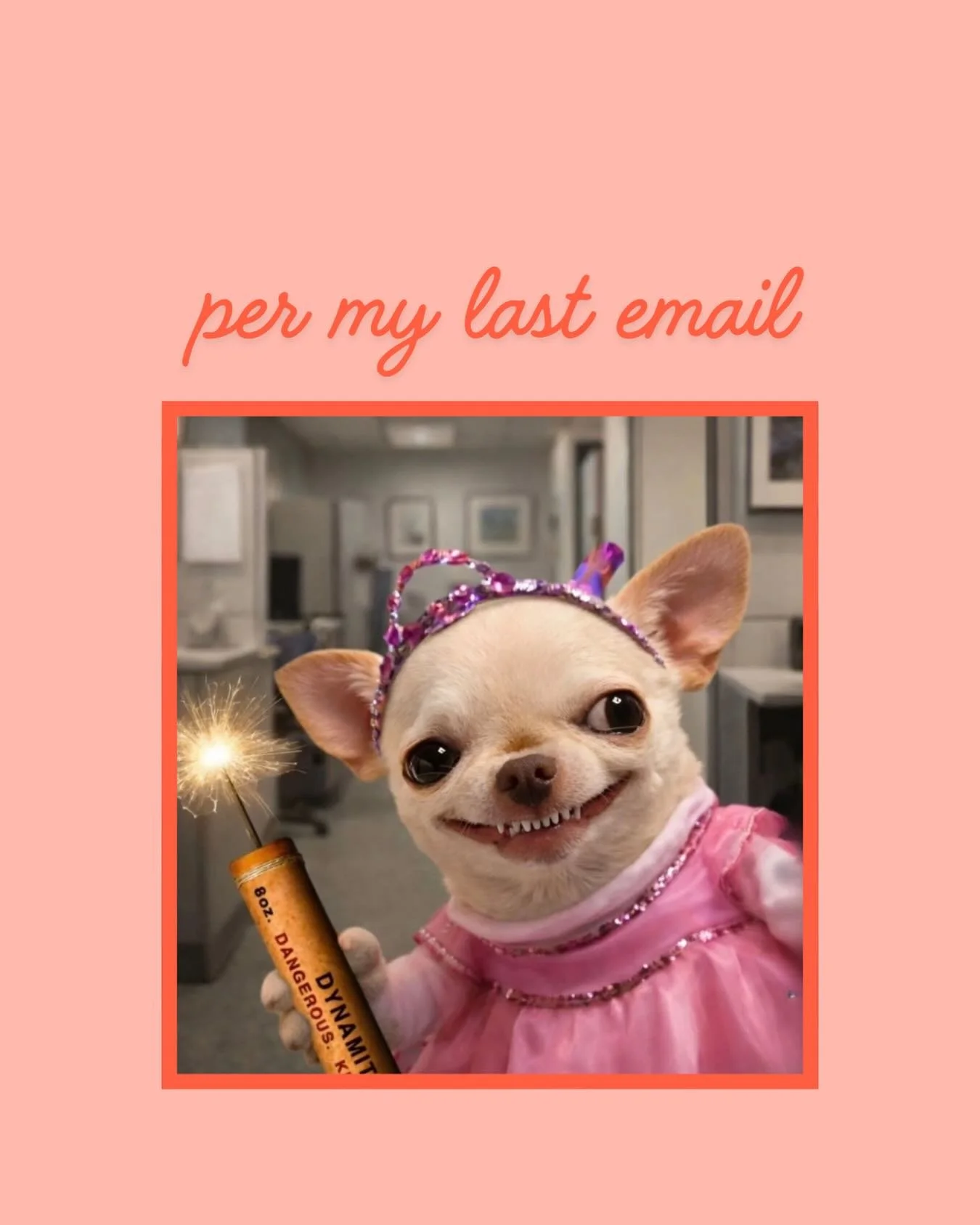 Me reading my own email again to make sure i wasn&rsquo;t the problem.