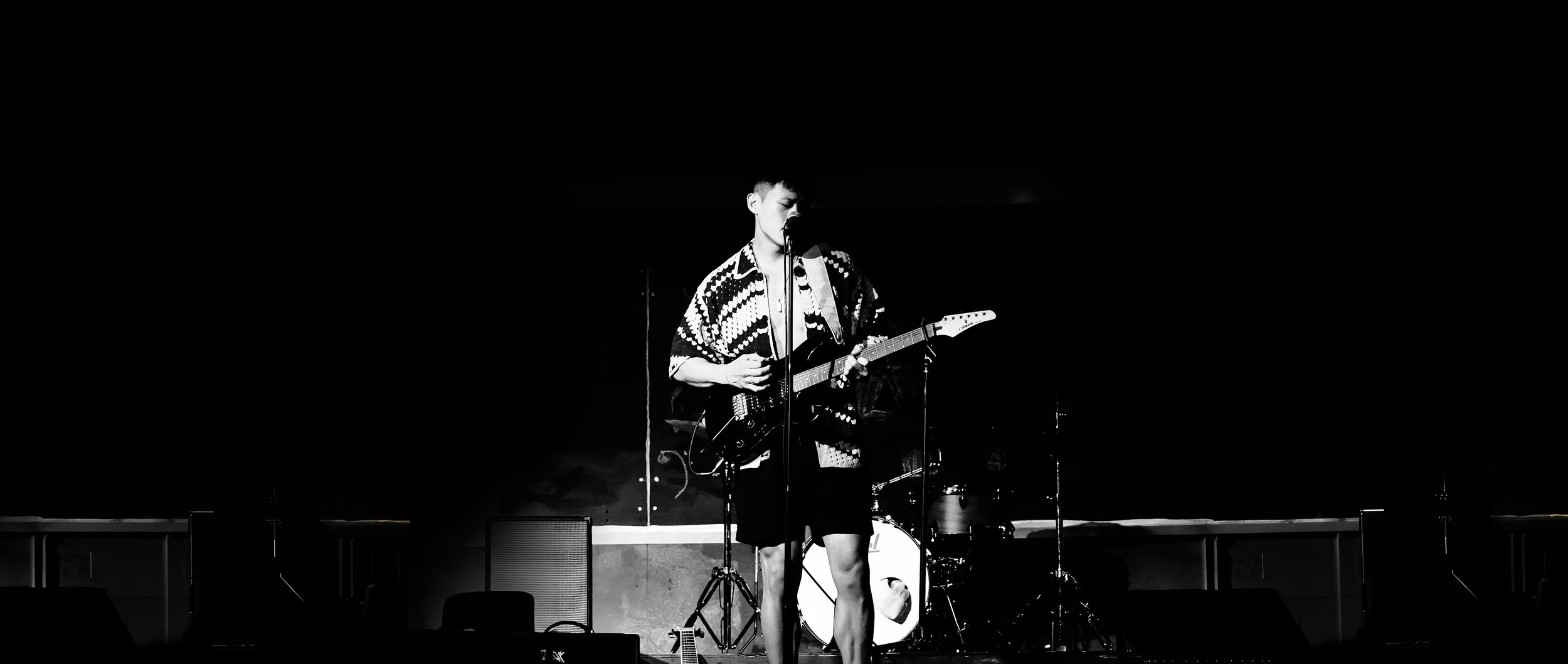 GuitarWide.png