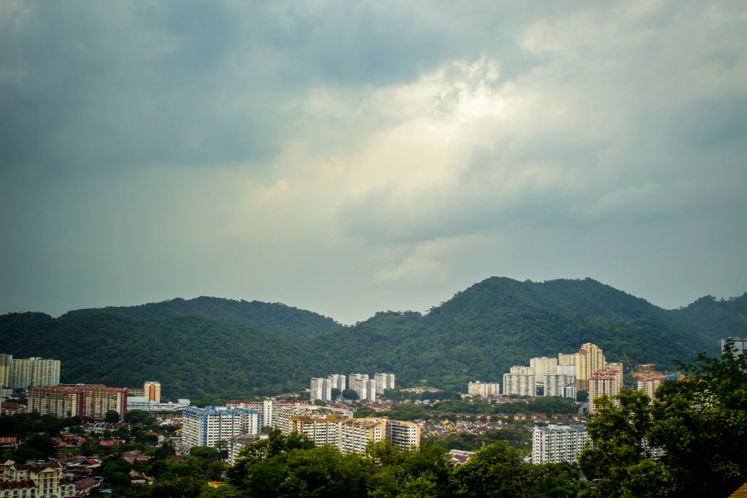 IMG_7676.jpg