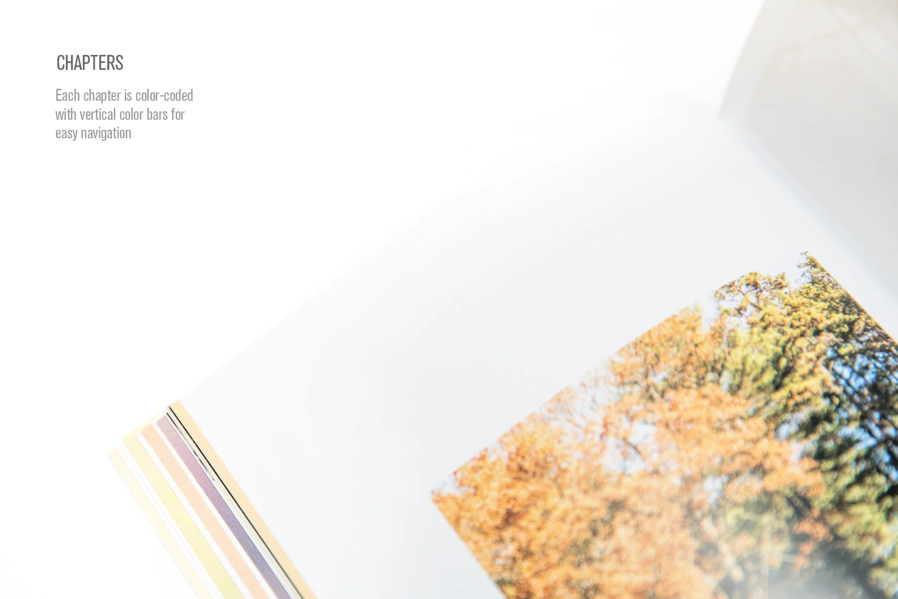 CX_book_2016_chapters_inside.jpg