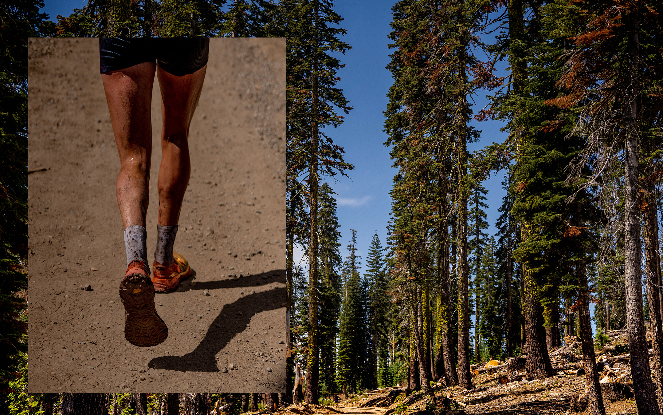 2023_ALTRA_WSER_12.png