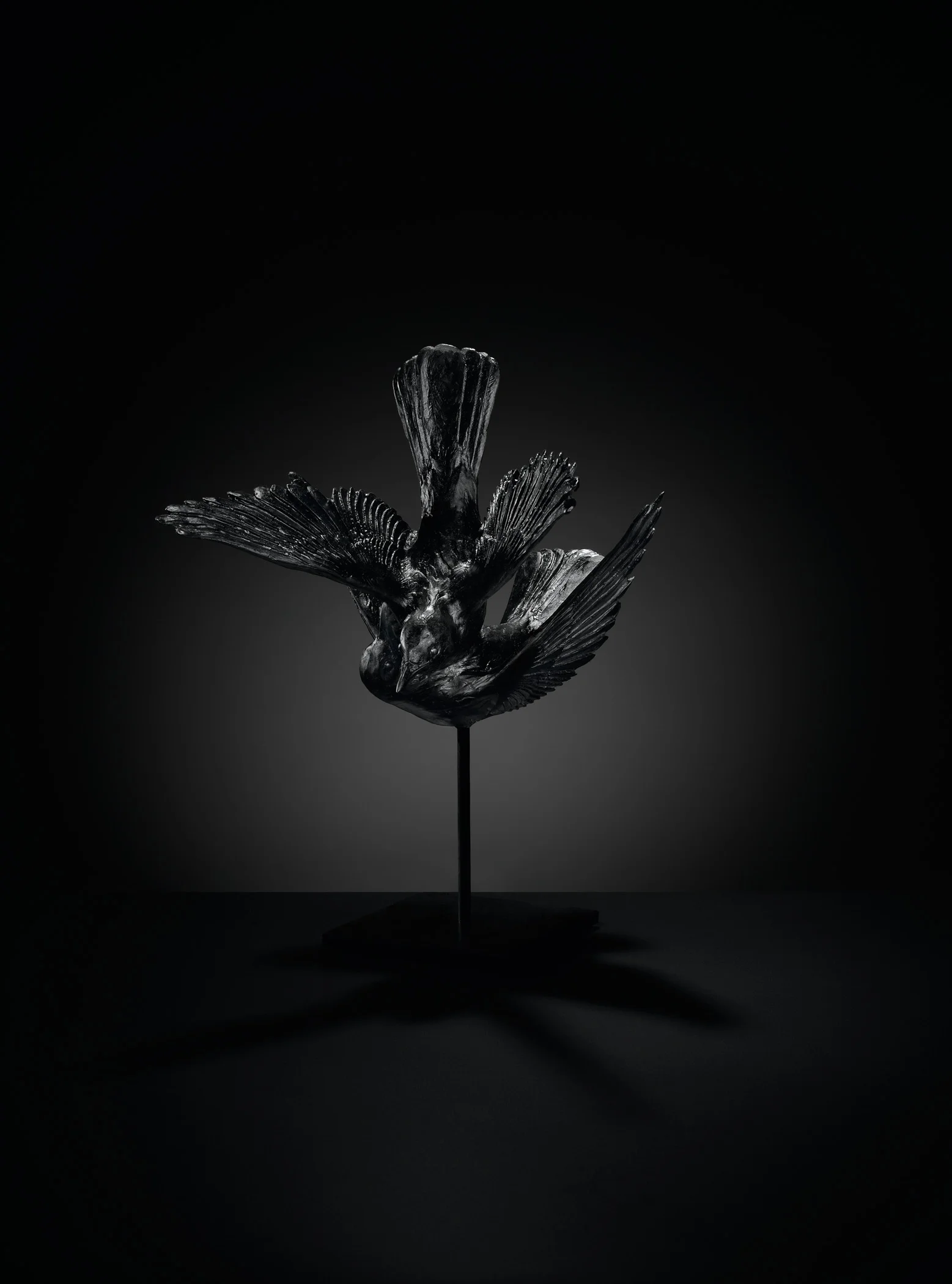 Black, Katherine Rutecki, 2011