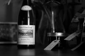 New Vineland Santa Barbara Chardonnay 2009