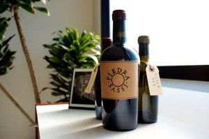 Piedrasassi Central Coast Syrah 2008