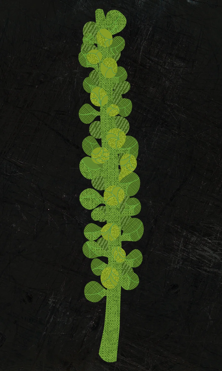 brusselsprouts.jpg