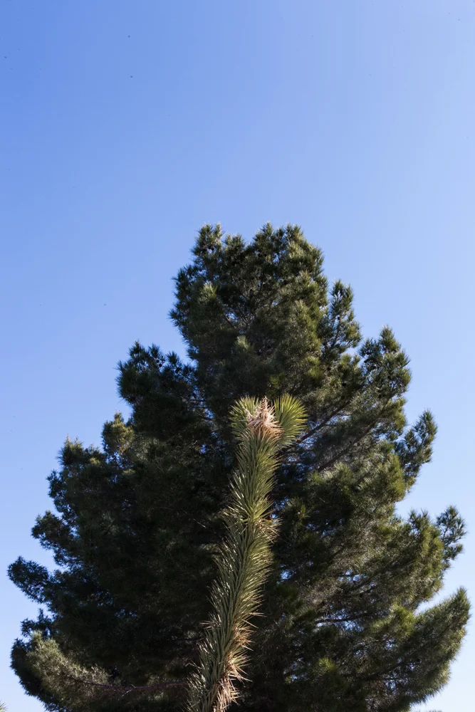 _MG_1134.jpg