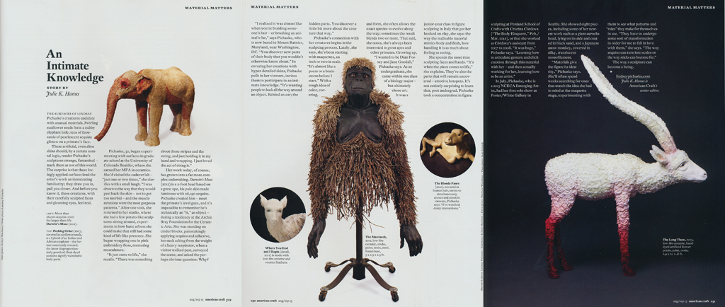 American Craft Magazine, August/September 2013 issue. Written by Julie Hanus, Senior Editor of American Craft. Click HERE to read the article on the American Craft website.