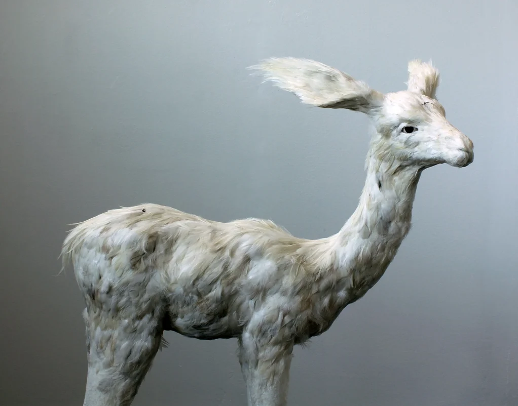 The Fawn