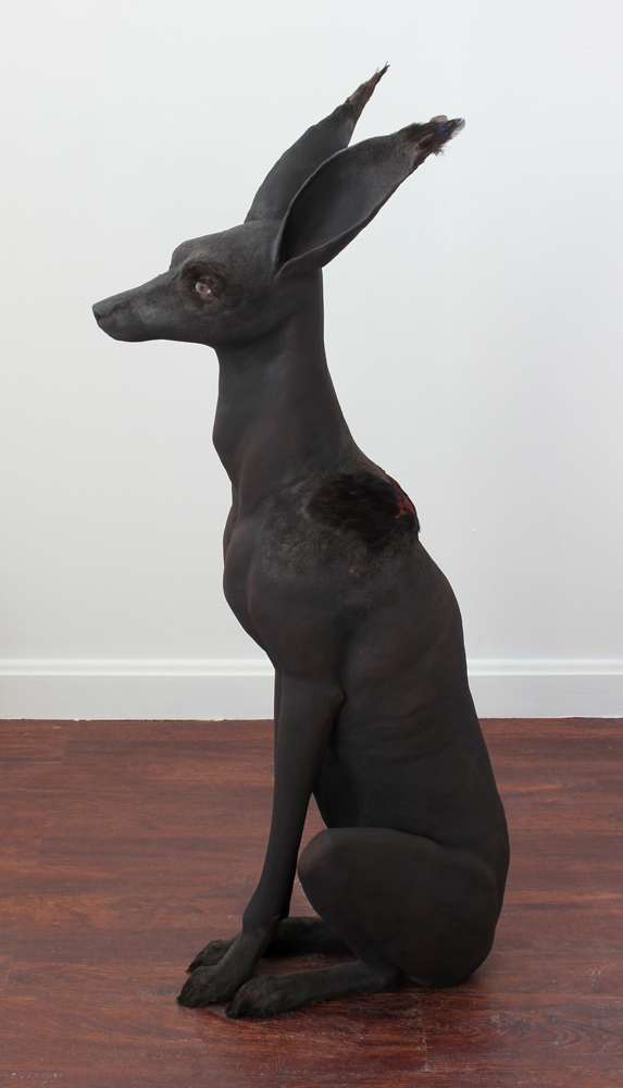 Anubis