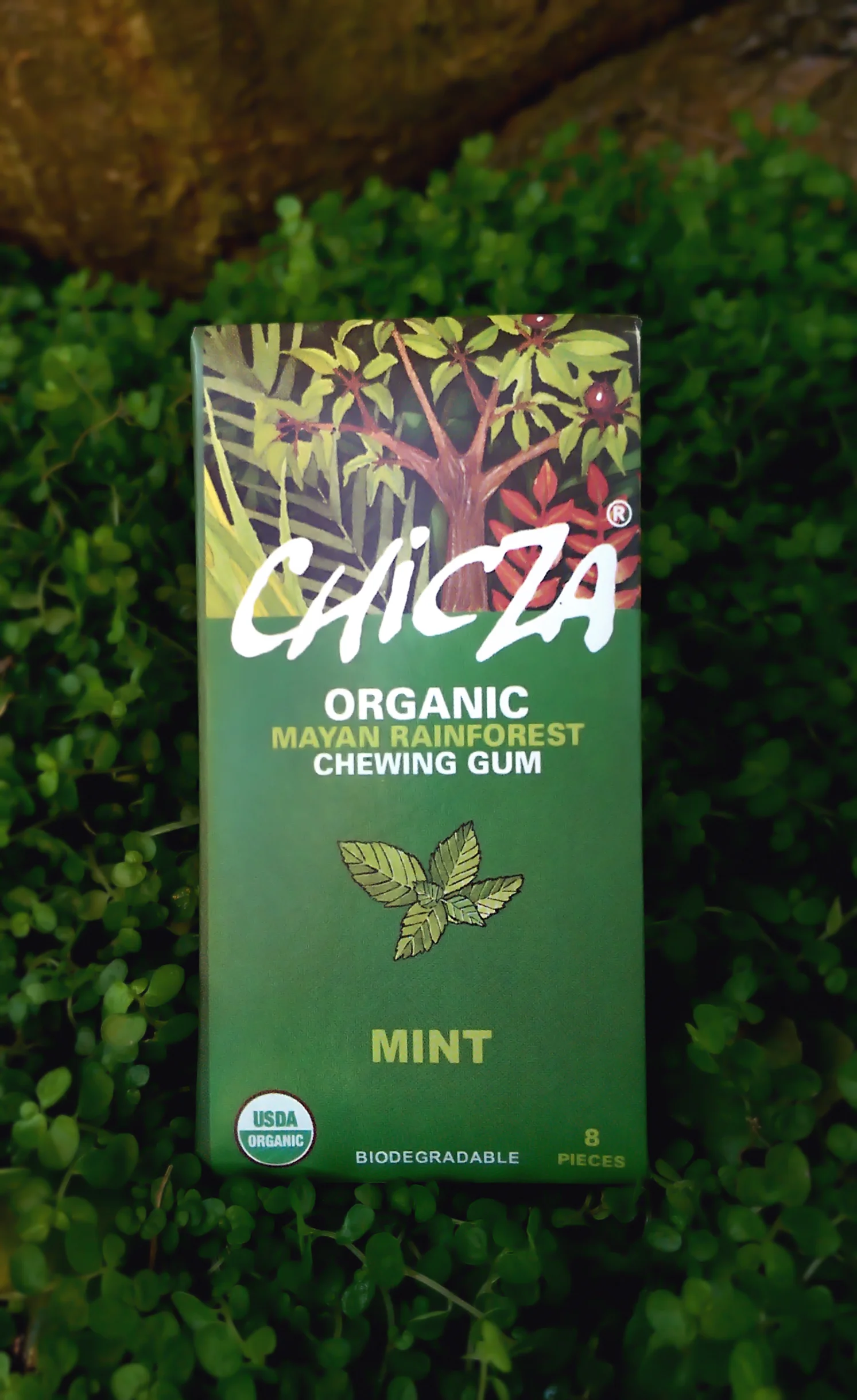 Chicza_Mint_Front.jpg