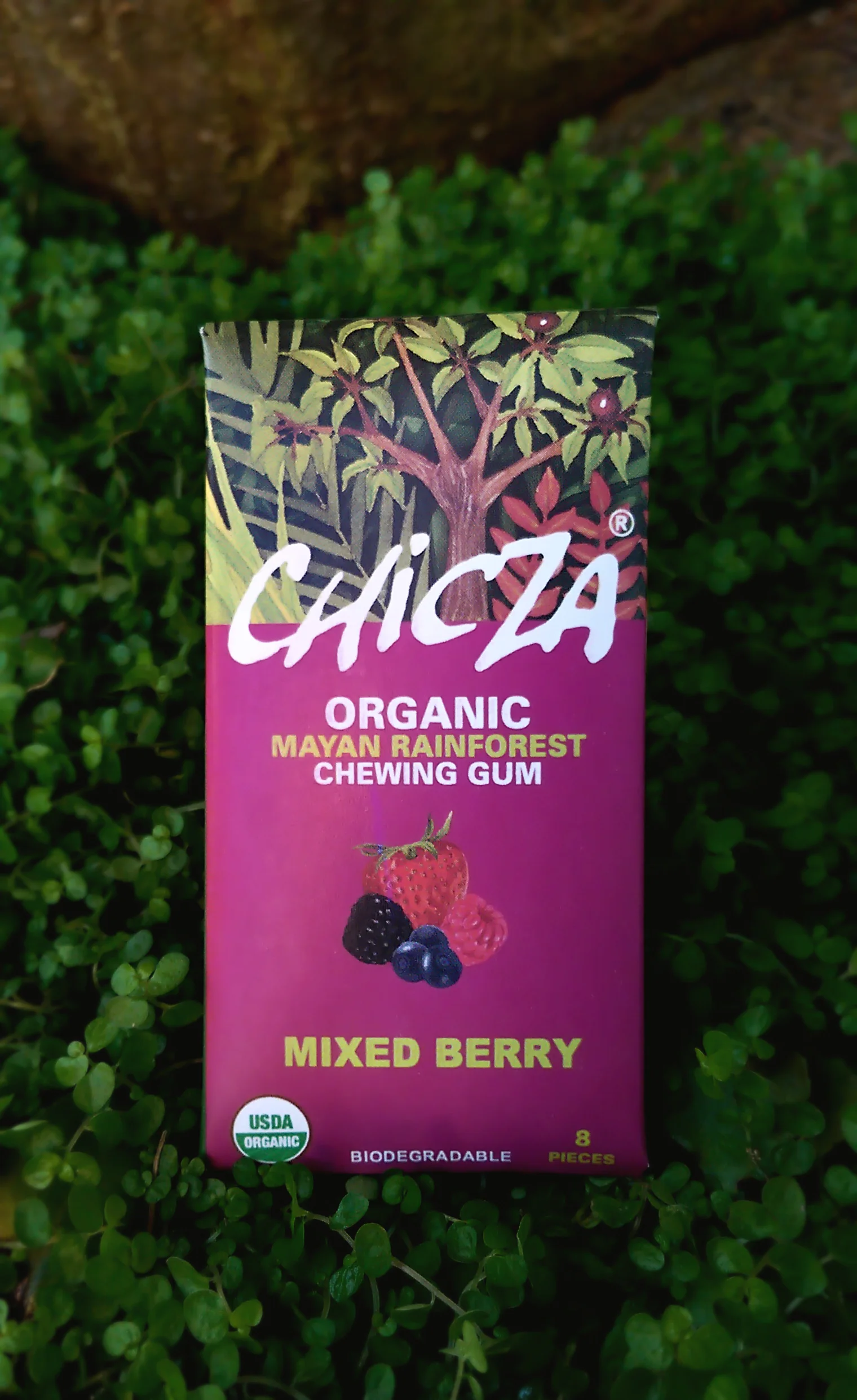 Chicza_MixedBerry_Front.jpg