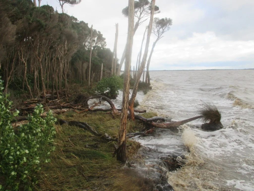 malcolm drive erosion 28 June.jpg