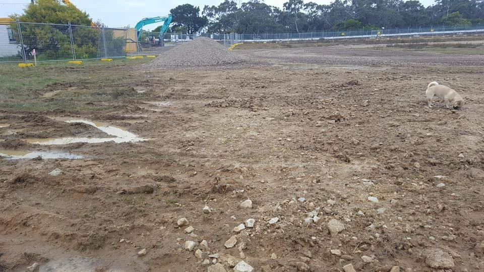 Toxic Earthworks at Crib Point