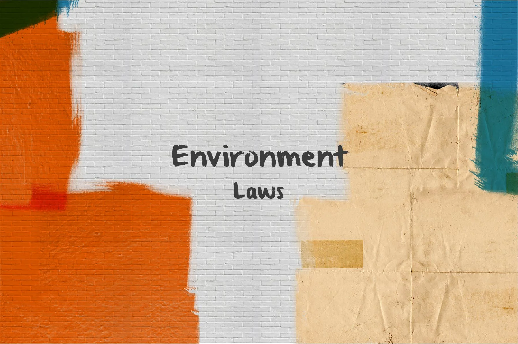 Env laws.jpg