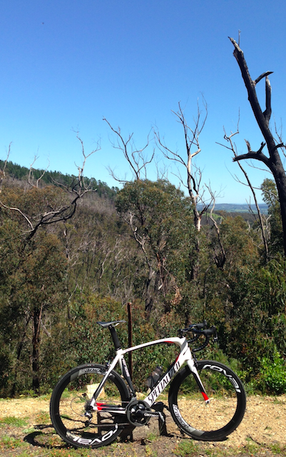 specialized_Venge_4.jpg