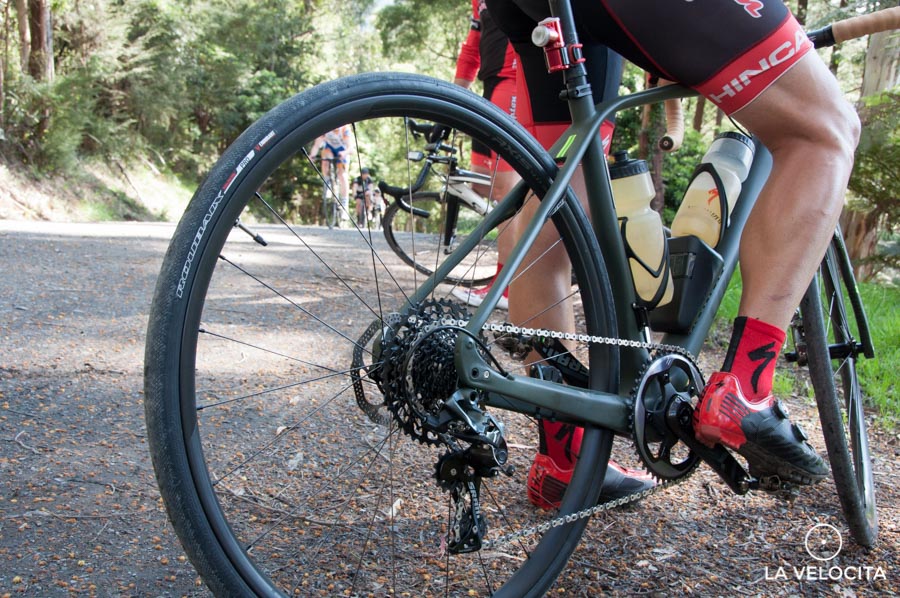 Smartest rider of the day. With this ratio you'd almost be able to ride up a wall.