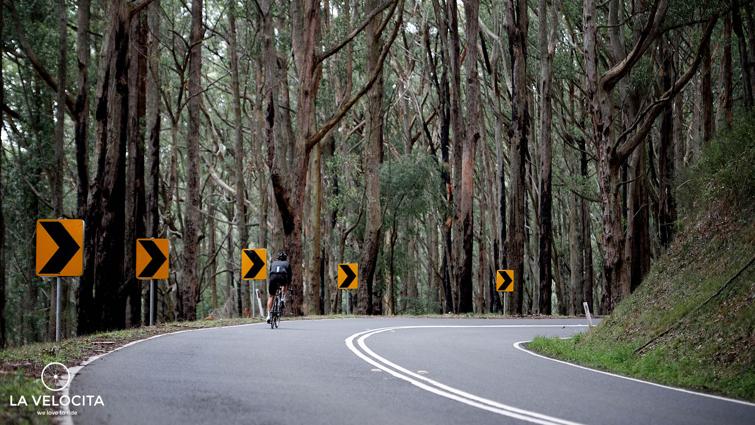 Photo of the Week - Andrew Clifforth