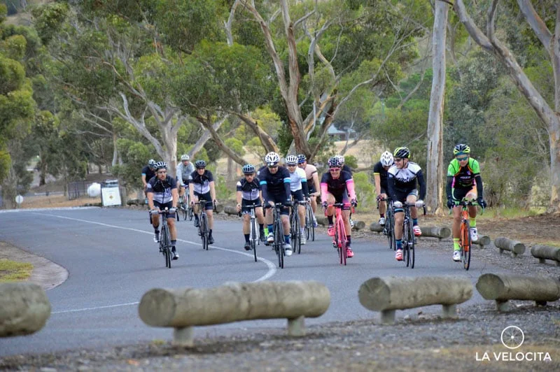 Brimbank Everest La Velocita 3.jpg