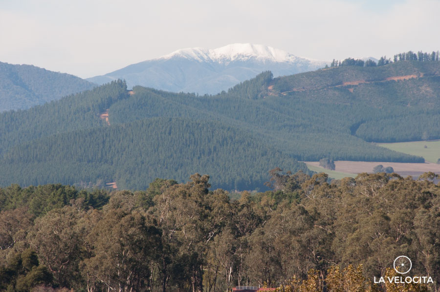 It's official, it still snows in the Victorian High Country.